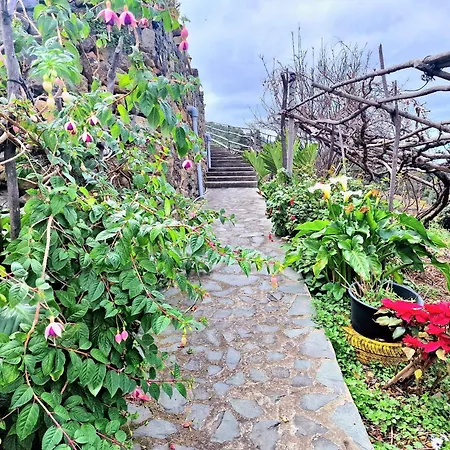 Dom wakacyjny Casa Canaria Drago In Icod De Vinos