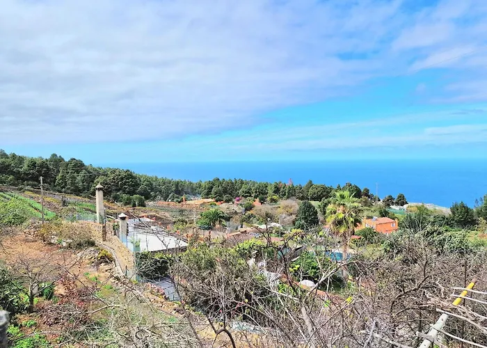 Casa Canaria Drago In Icod De Vinos *